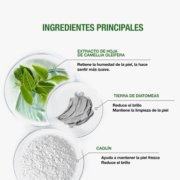 GREENMASK® -  MASCARILLAS DE TE VERDE - COMPRA 1 Y LLÉVATE 2